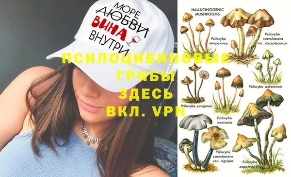 таблы Сосновый Бор