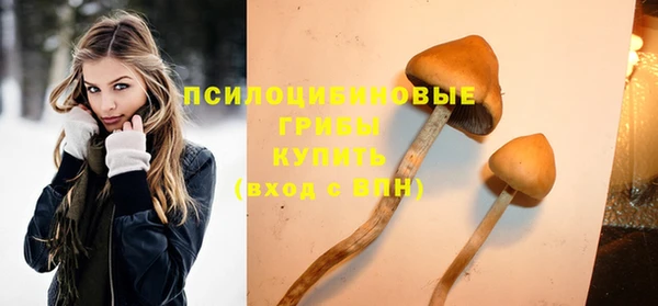 дурь Белоозёрский