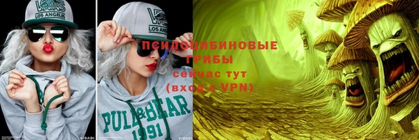 мдма Белокуриха